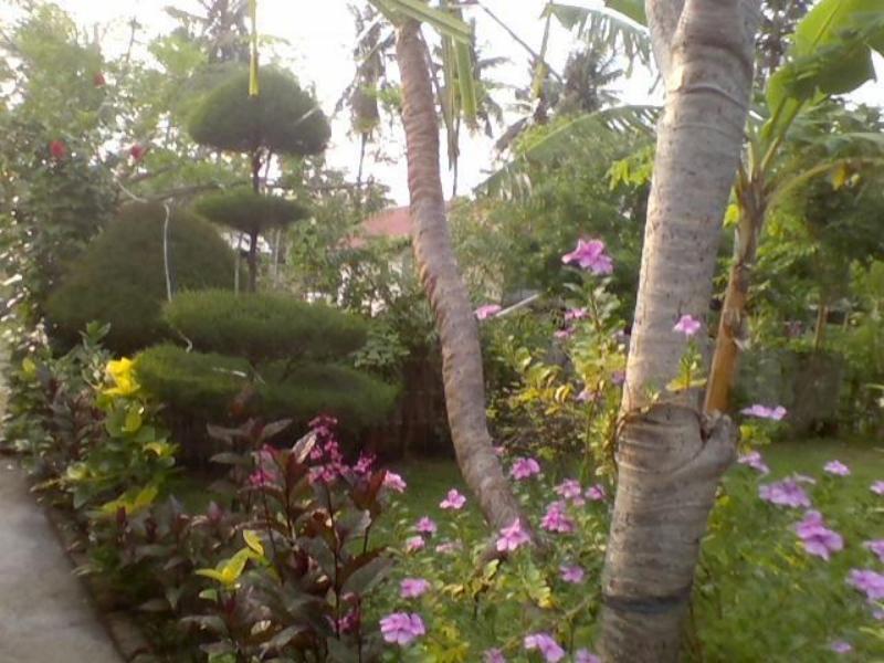 Tropicana Bungalows Gili Meno Extérieur photo